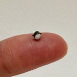 [19] 비타치 해본사람 들어와바ㄱㄱㄱ