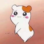 니 <b>몸짓</b> 보고싶다