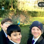 [풀햄보이즈] 아르망과 <b>맥스</b> 영혼의 단짝