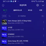 [스키즈] 스<b>밍</b>인증