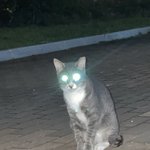 눈물닦고 하러갈게.. 가 <b>관용</b>표현이 아니였음
