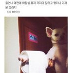 <b>화장</b> 안하는 애들 이유가 뭐임