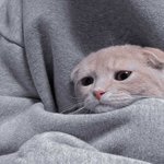 무쌍 <b>아라</b> 도와주 제발데발 ❤️❤️