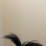 아 엑소 <b>첫눈</b> 듣는데