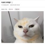 [댓글부탁해] 다른학교 모르는 남자가 1년째 <b>염탐</b>하는데