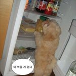 [드루와] 생윤 사문 벼락치기 어케 해..