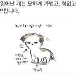[NCT드림] <b>완전</b> 이거잖냐