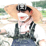 [펜타곤] 낙지는 아니더라도 단체로