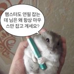 스카 대체 언제까지 10시 <b>제한</b>이냐
