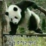 시험하루전인데 엄마 이러는거 말이됨?