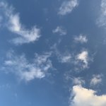 이거 <b>꼬막</b><b>눈</b>임?
