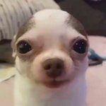 겟마을 차차차 동성애<b>코드</b> 있음??