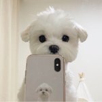 짤하나 <b>민혁</b>