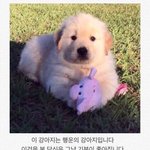 [드루와] 다들 팬 아닌데도 듣는 <b>타돌</b> 수록곡 있어?