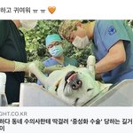 [19] 이게 왜 귀여움…..?? 소름끼쳐