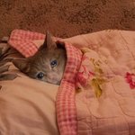[NCT드림] 참나 8시인데 천지이저 <b>안</b><b>주네</b>