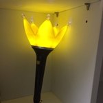 그때 그 시절 아이돌 응<b>원봉</b>