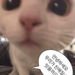 [댓글부탁해] <b>풀</b><b>뱅</b> 하고 싶은데 머리를 내도 숱이 적어