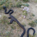 [어린<b>왕자</b>] 러시아판 어린 <b>왕자</b>