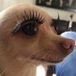 [드루와] 역시 사진은 많이 찍어봐야 앎