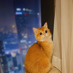 [<b>레이</b>] 사담)