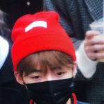 나 이상형 소나무임?