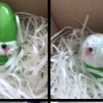 <b>마리</b>몽 아는사람