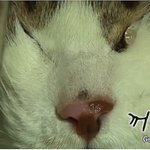 [댓글부탁해] 수능에서도 시험지 늦게 나눠주면 죽인다 진짜