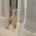 [군대] 너무 <b>심심</b>행
