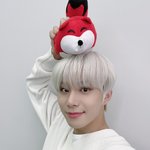 [NCT칠프] <b>여우</b>가 두마리