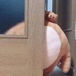 아 <b>셔누</b> 보고싶다
