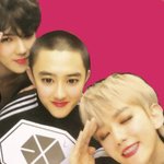 [EXO] 주옥같은 <b>평일</b>