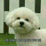 <b>밸런스</b> <b>게임</b> ㄱㄱ
