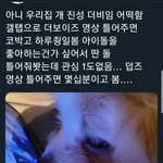 [더보이즈] 지금 알티타고있는 이거 봤어?