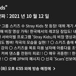 [스키즈] 오늘 일본방송에 스키즈!