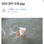 [댓글부탁해] 헐 얘들아 10모 영어 <b>오류</b>래 ㅁㅊ