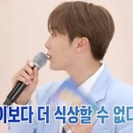 [세븐틴] 컴백 기념 어그로
