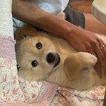 아니 스우파 과<b>몰입</b> 좀 그만해