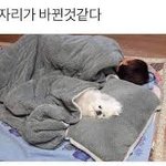 <b>자자</b>