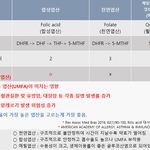 [방탈죄송] 임산부 맘들 필수 영양제 <b>top</b>4