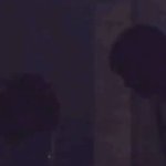 [NCT드림] 런지니 해차니 비지니스 인사ㅋㅋㅋㅋㅋㅋ