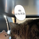 [펜타곤] 으악 <b>시루</b> 스토리ㅜㅜㅜㅜ