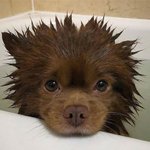 <b>바라</b>만 봐도 행복한 게 이런 건가요?