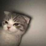 중3 수학 기하랑 수상 같이 하는 거