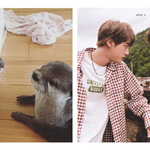 [방탄소년단] <b>동물</b>계 괄 하는데ㅋㅋㅋㅋㅋ