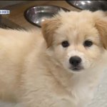 [모두드루와] 어제자 스우파 대통합시킨 찐<b>원탑</b>