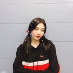 조이 양<b>갈래</b>
