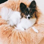 [NCT칠프] <b>루비</b> 태용 짤털 함 해보까