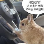 [댓글부탁해] 가려는 고등학교인데 수준 알려줘