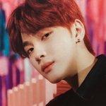 내 기준 주<b>학년</b> 원탑 주<b>학년</b>